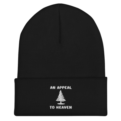 Cuffed Beanie - Appeal to Heaven USA